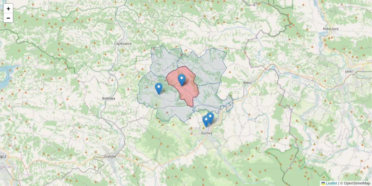 Szczegółowa mapa kodu pocztowego 38-321 z granicami, sąsiednimi kodami pocztowymi i urzędami pocztowymi