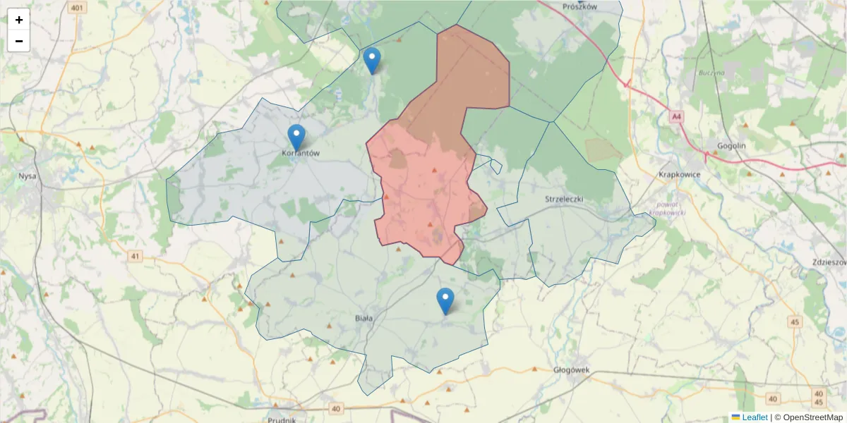 Szczegółowa mapa kodu pocztowego 48-220 z granicami, sąsiednimi kodami pocztowymi i urzędami pocztowymi