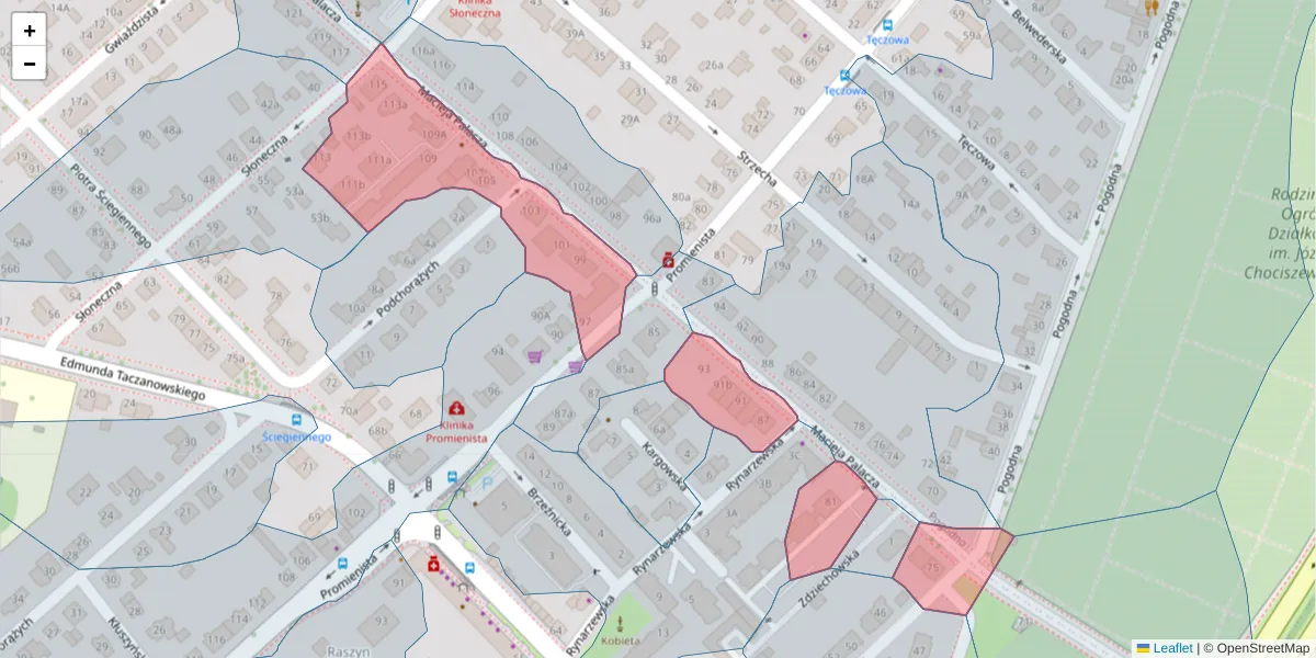 Szczegółowa mapa kodu pocztowego 60-273 z granicami, sąsiednimi kodami pocztowymi i urzędami pocztowymi